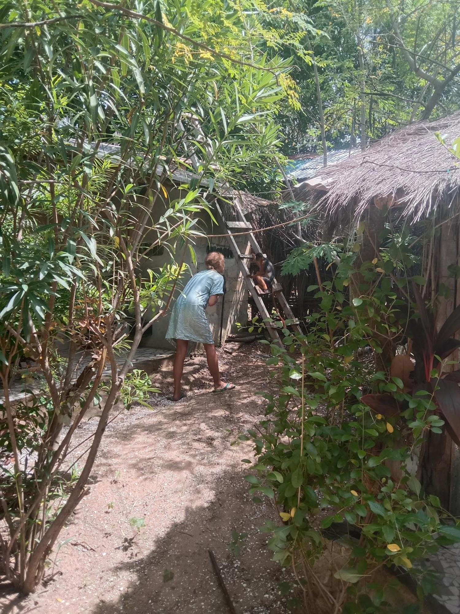 Vila Chez Bethy & Baboulaye Jungle Et Ocean Abémé Exteriér fotografie